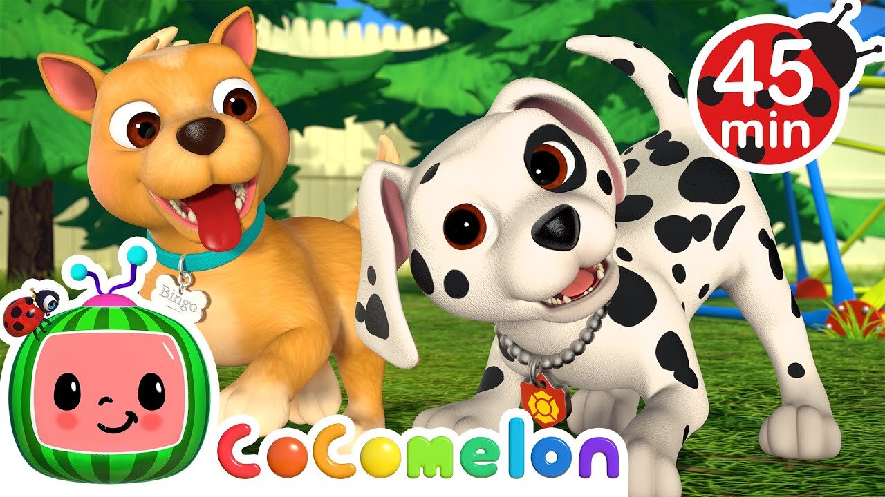 Puppy Play Date + MORE CoComelon Nursery Rhymes &amp; Kids Songs