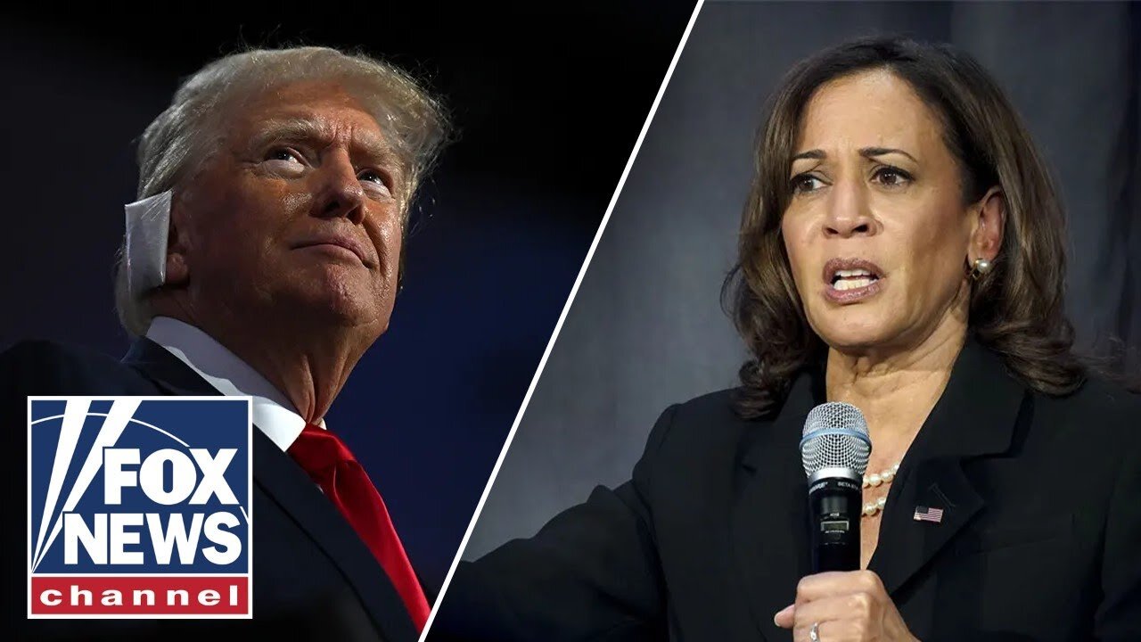 Kamala Harris faces 'problem' on Trump 'referendum' position: Sarah Bedford