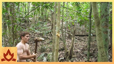 Primitive Technology- Stone Adze