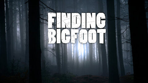 THE BIGFOOT BOUNTY HUNTER