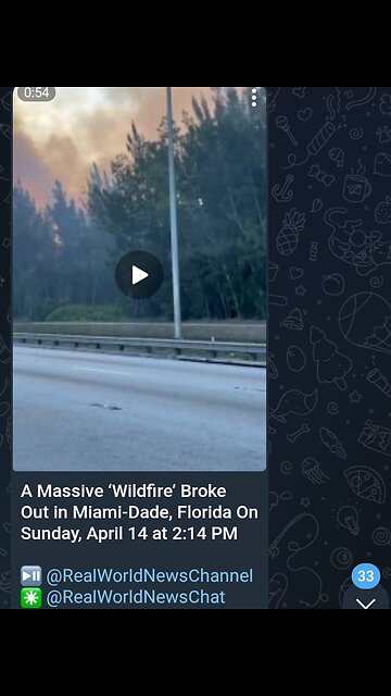 News Shorts: Florida Wildfire