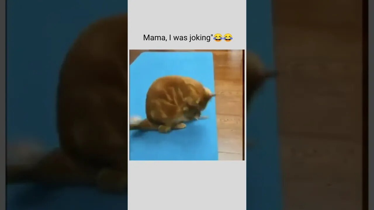 Mama, I was joking"😢😭