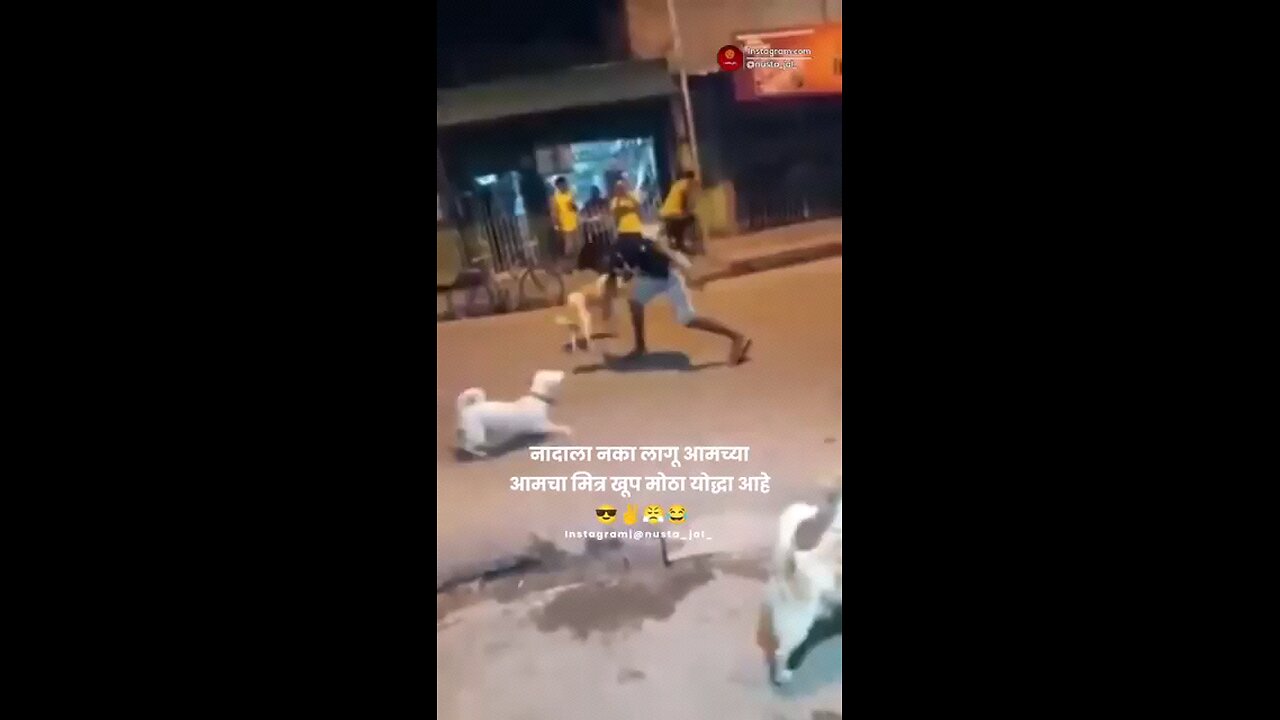 rilex gais kutto ko dance sikhara hai