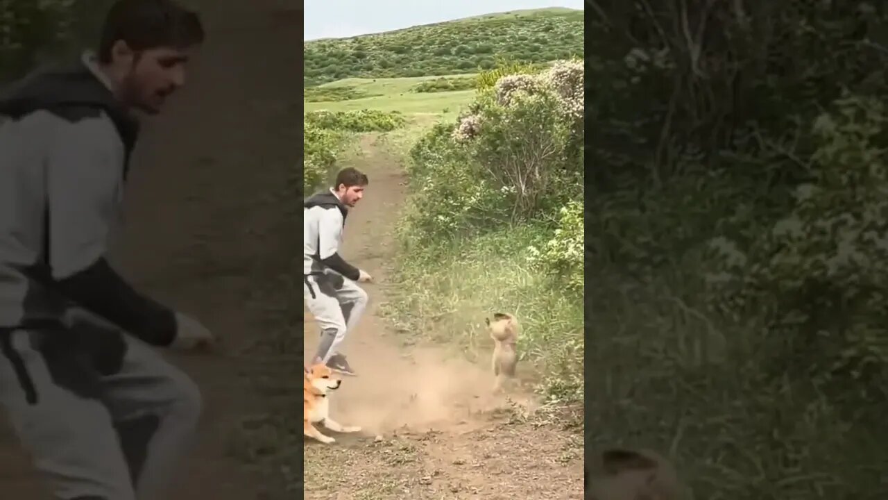 Not today dogo, not today