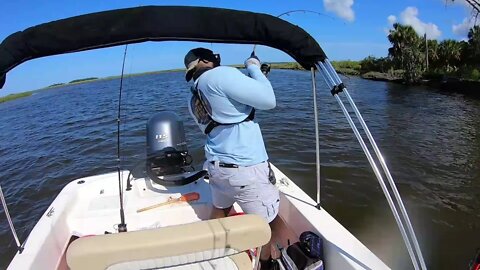 back to the basics part 1