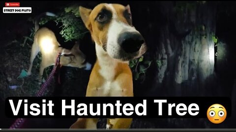 Pluto Visit Haunted House😥