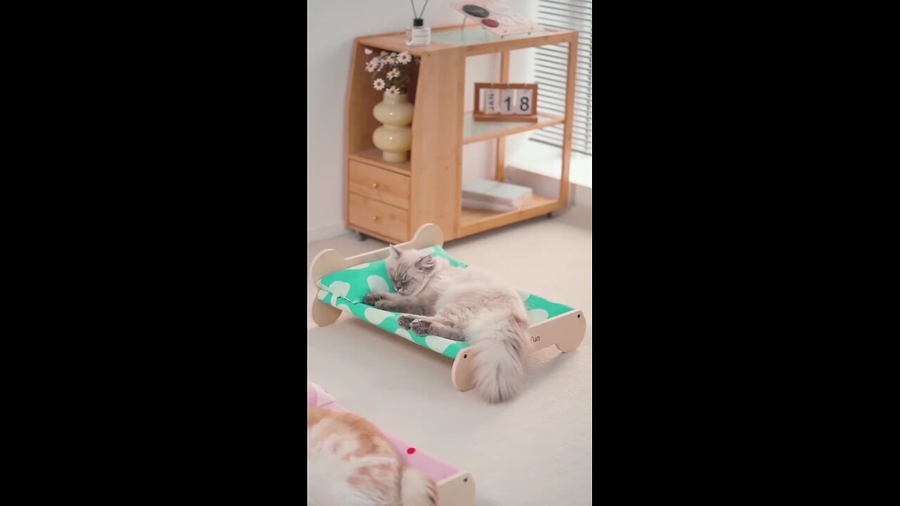 very cute bed for cats