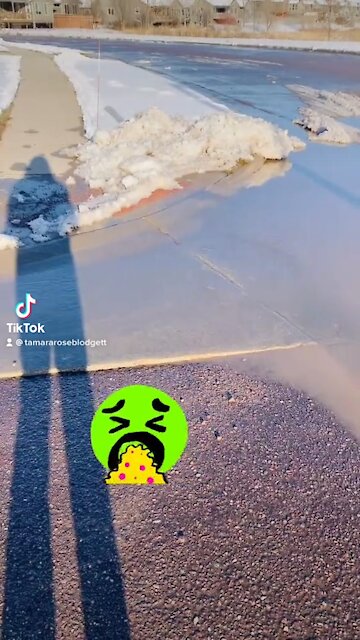 #walking#tamararoseblodgett