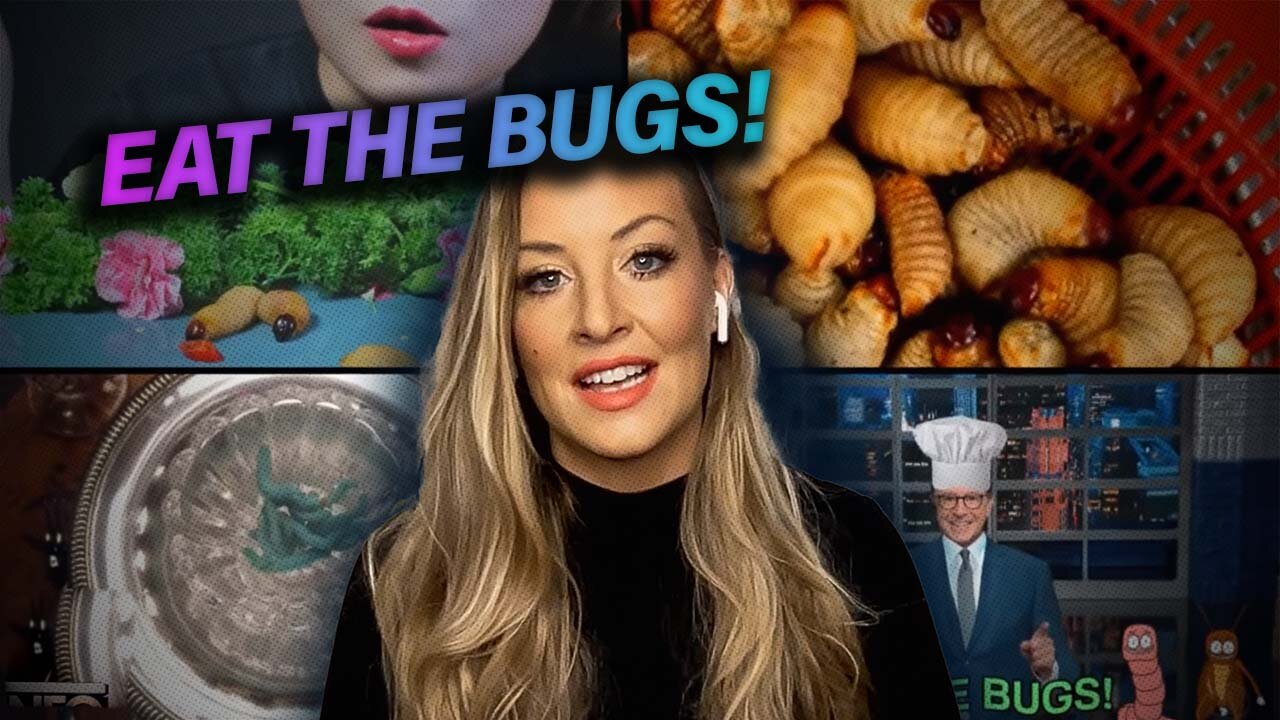 1000 Australian Schools Adopt Cricket Meal For Students