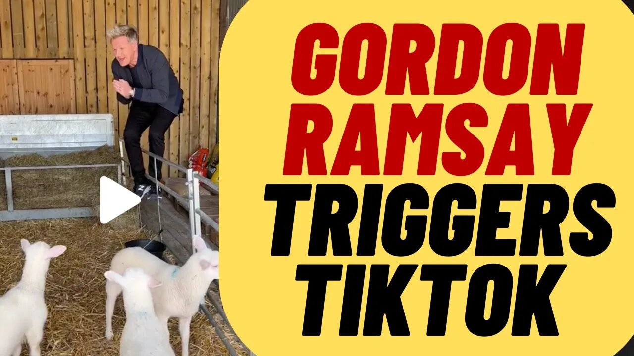 Gordon Ramsay Triggers TIKTOK With Lamb Video