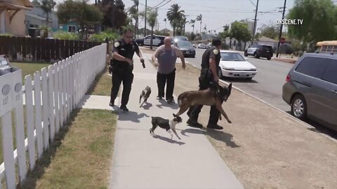 National City: K9 Officer Attacked During Suspect Search