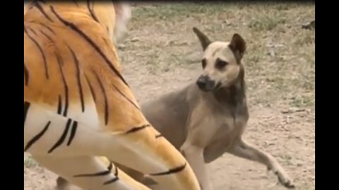 Fake LION Prank To dog