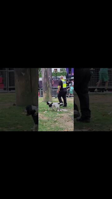 Sniffer dig red carpet house of the dragon 🐉 premiere #gameofthrones