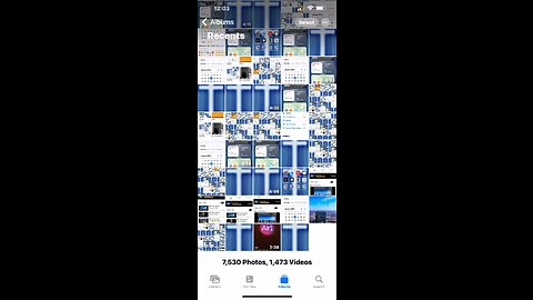 🎼❤️❤️❤️🦁❤️❤️❤️🎼