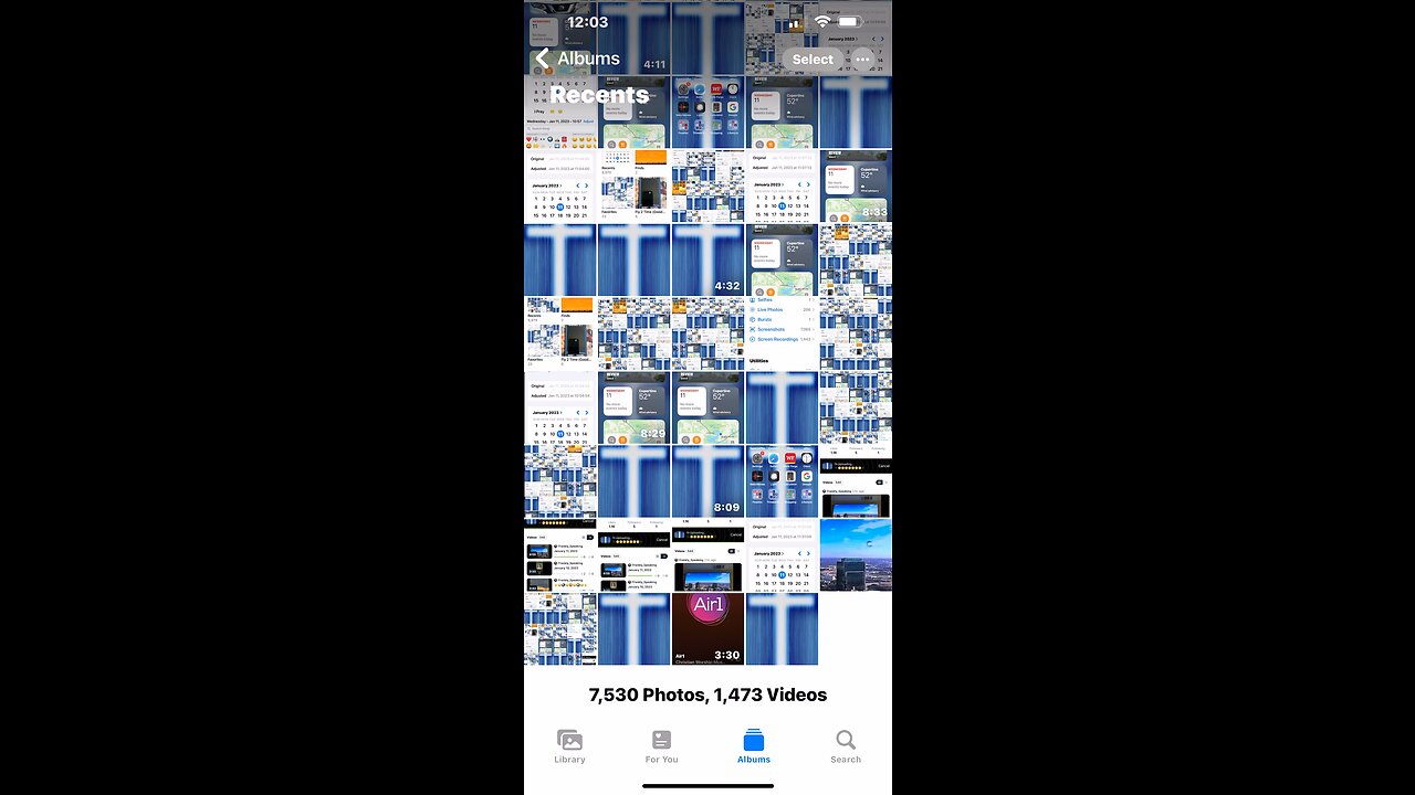 🎼❤️❤️❤️🦁❤️❤️❤️🎼