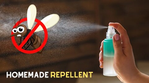 How to Make a Natural Insect Repellent to Protect Your Home