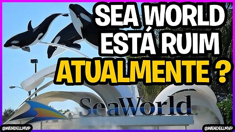 🟣 SEA WORLD ABANDONADO? O PARQUE DECAIU! VISITEI EM 2023 E FOI… #SeaWorld #Orlando