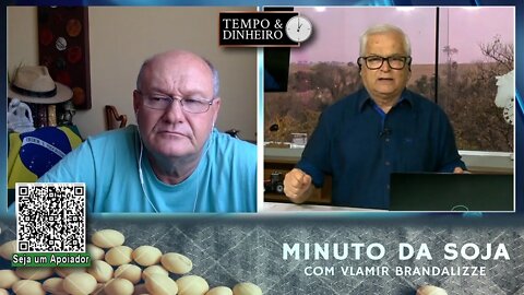 Milho plantado safra de verão com chuvas no sul
