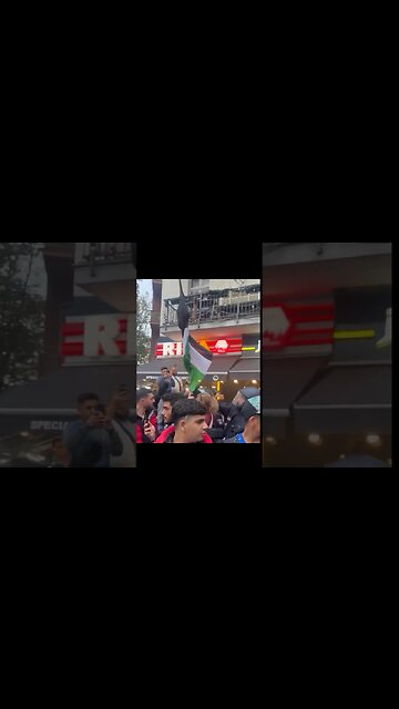 Mass Arrests and Flag Confiscations: Unveiling Germany's Troubling Reality