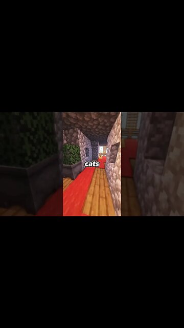 Cats and Dogs Swap Personality