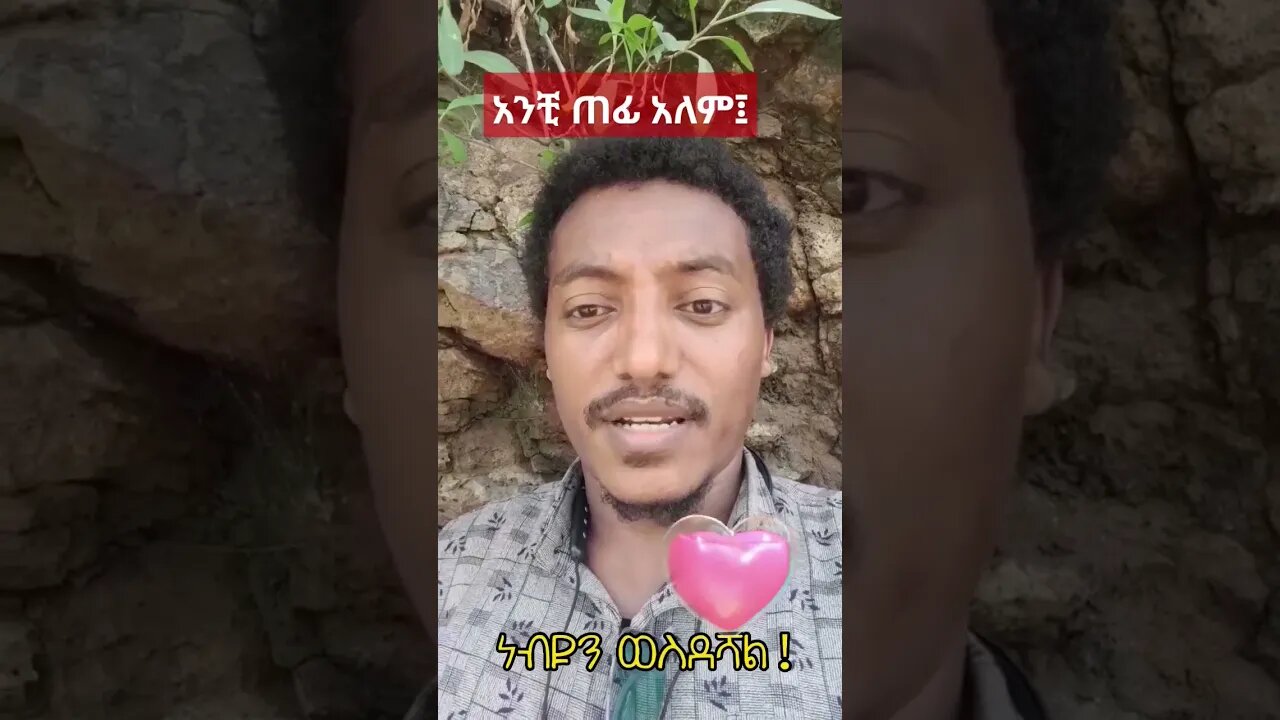 ዱንያ ጠፊ ናት! #eregnaye #fetadaily #ነጃህ #seifuonebs #ተዋወቋት