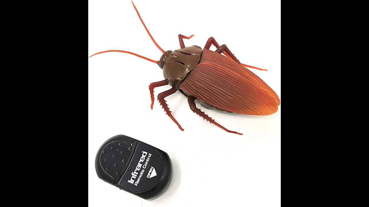 Funny Remote Control Cockroach