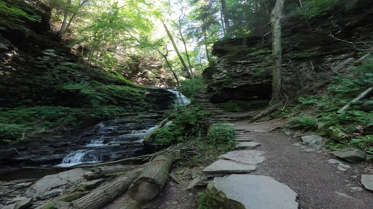 Rickett's Glen state park