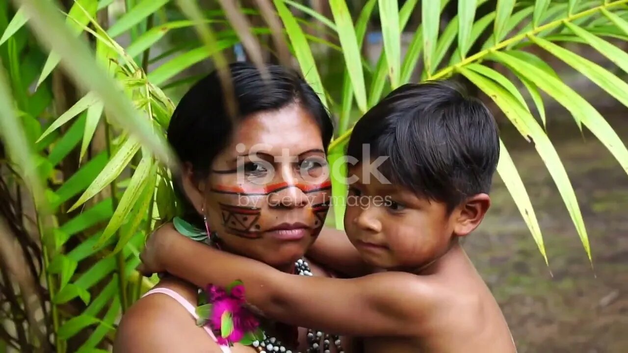 Rainforest Wonders: Exploring the Amazon Jungle