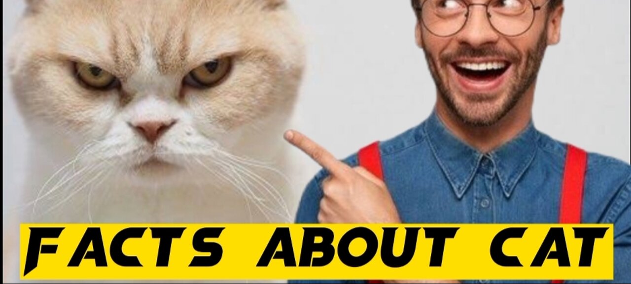 Facts about Cats
