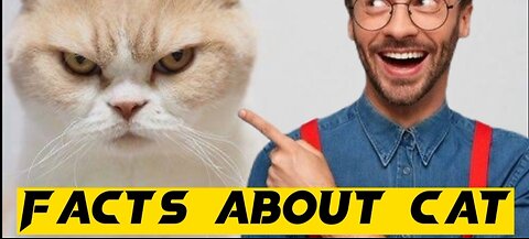 Facts about Cats
