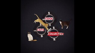 Cool Cats Collective Highlight Reels