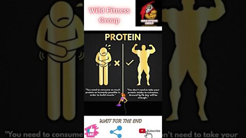 🔥Protein🔥#shorts🔥#wildfitnessgroup🔥21 April 2022🔥