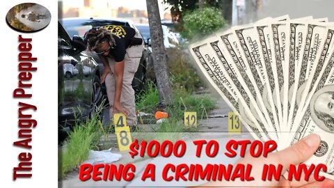 $1,000 To Stop Being A Criminal In NYC!