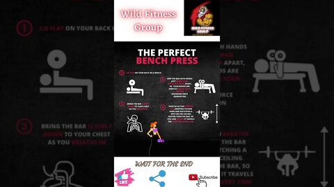 🔥How to do the perfect bench press🔥#shorts🔥#wildfitnessgroup🔥9 April 2022🔥