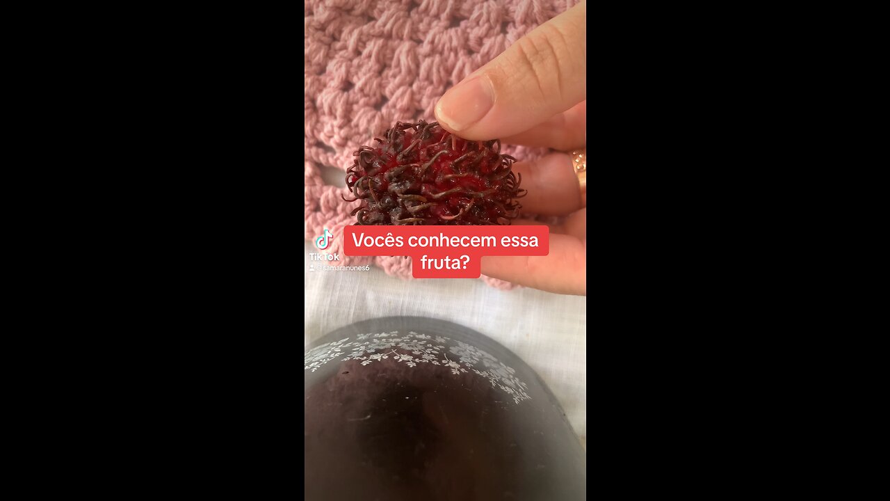 Conhecendo a fruta rambutão