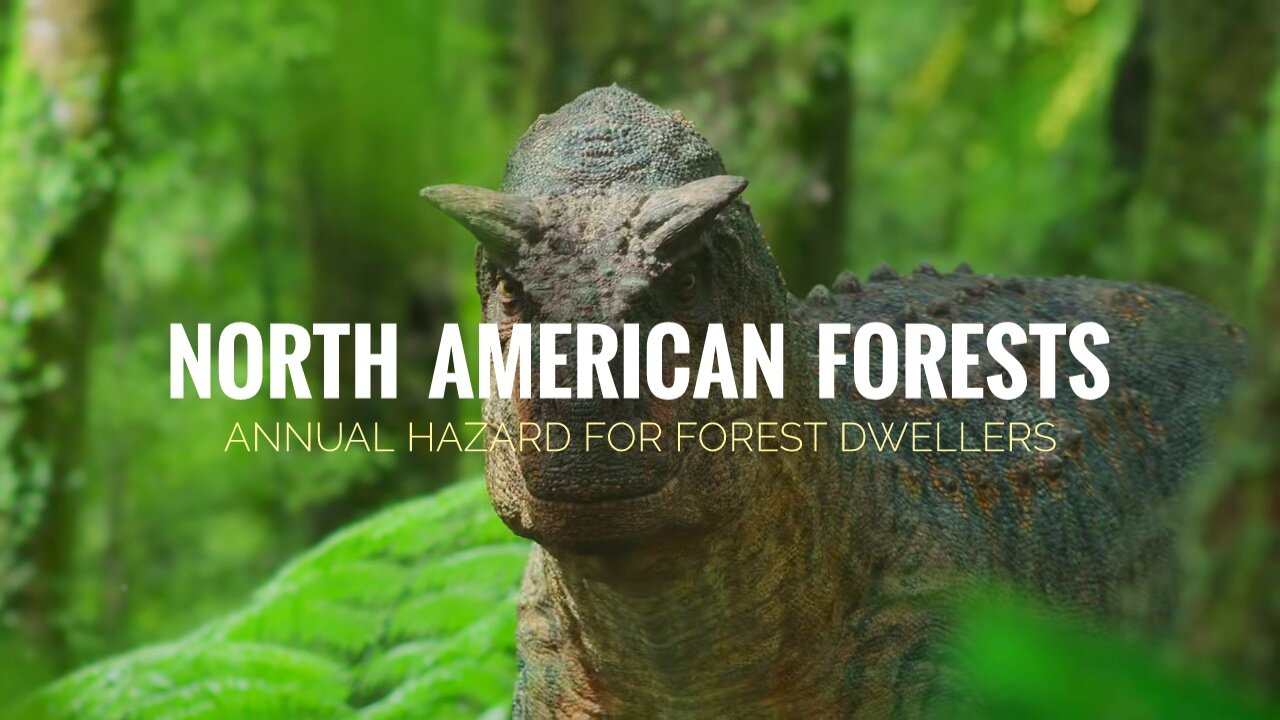 North American Forests | annual hazard for forest dwellers