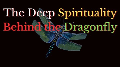 The Spiritual Meaning of Seeing a Dragonfly