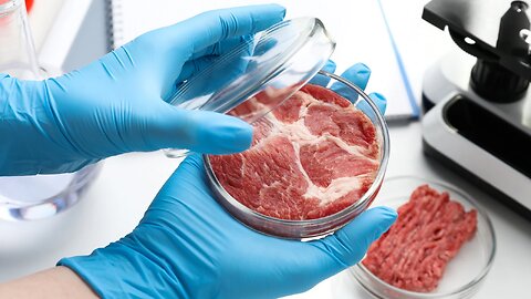 CARNE CULTIVADA EN LABORATORIO | AGENDA DEL CAMBIO CLIMATICO