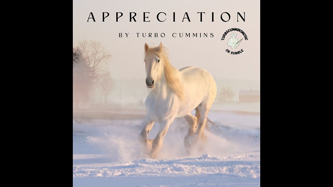 Appreciation by Turbo Cummins