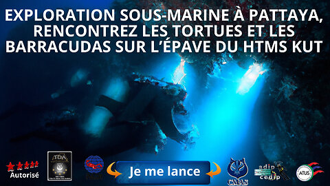 Exploration Sous-Marine à Pattaya : Rencontrez les Tortues et les Barracudas