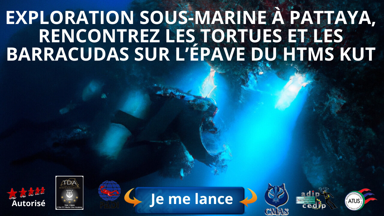 Exploration Sous-Marine à Pattaya : Rencontrez les Tortues et les Barracudas