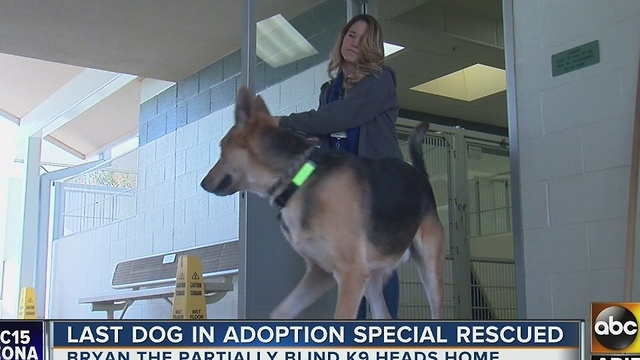 Happy ending for Bryan the German Shepherd