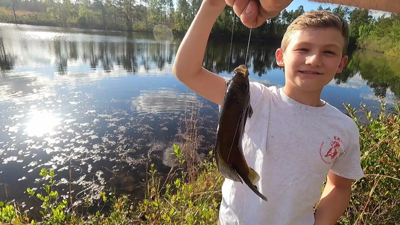 Fishing with the family on a shellcracker bed! Kinda!!