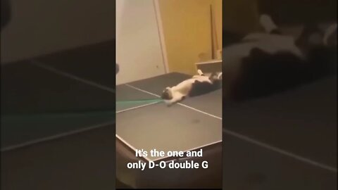 MEME is the one and only D-O double G #shorts