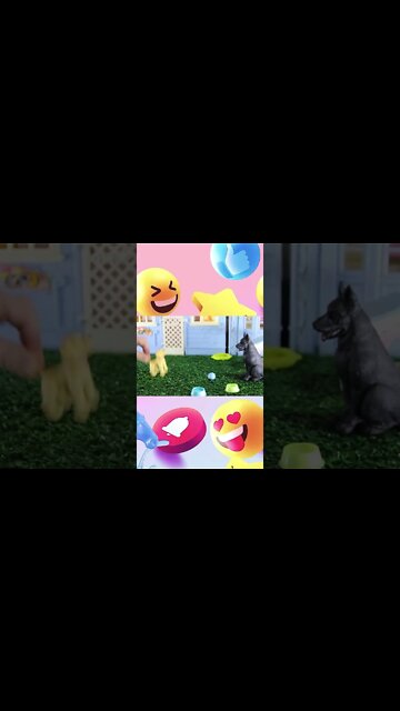 shorts cachorrinhos #5