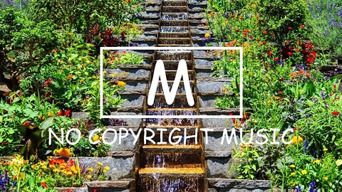 Dizaro - Pirate（Mm No Copyright Music）