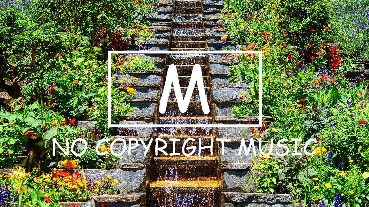 Dizaro - Pirate(Mm No Copyright Music)