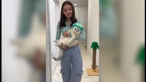 TRY NOT TO LAUGH 😂Best Funny Videos Compilation #2