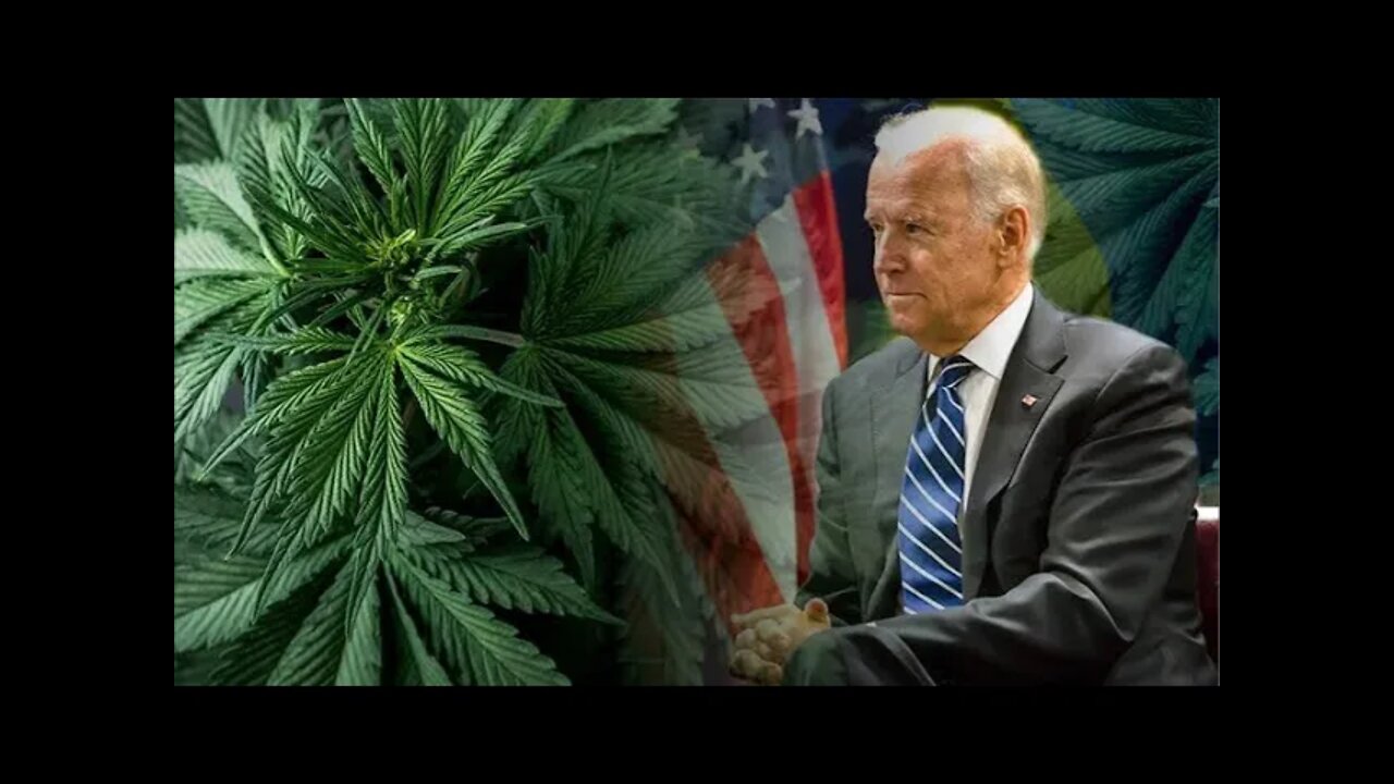 Biden’s Marijuana Reform Plan Will Ruin America