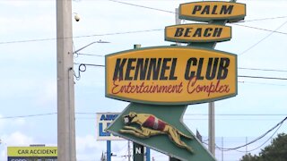 Palm Beach Kennel Club turns 89, 40 new workers needed for fall season expansions